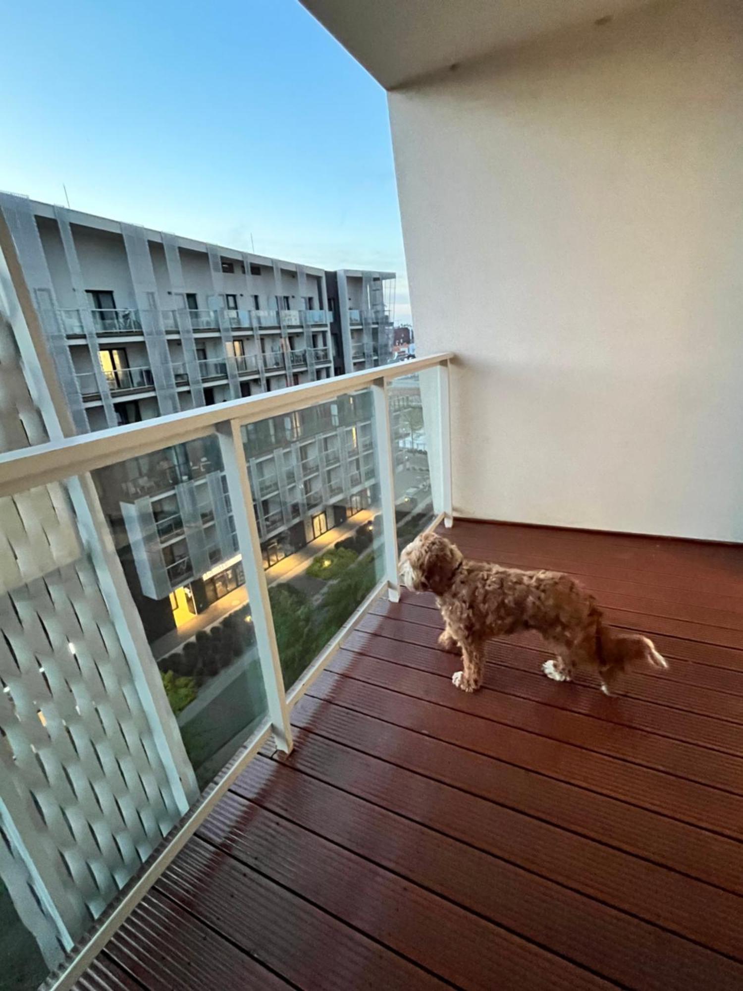 Family House By The River Odra -Panoramic Terrace - 3Room Apartment With 2 Separate Bedrooms And 2 Balconies By Wroapart-Pl- Perfect For Family & Business Stays Βρότσλαβ Εξωτερικό φωτογραφία